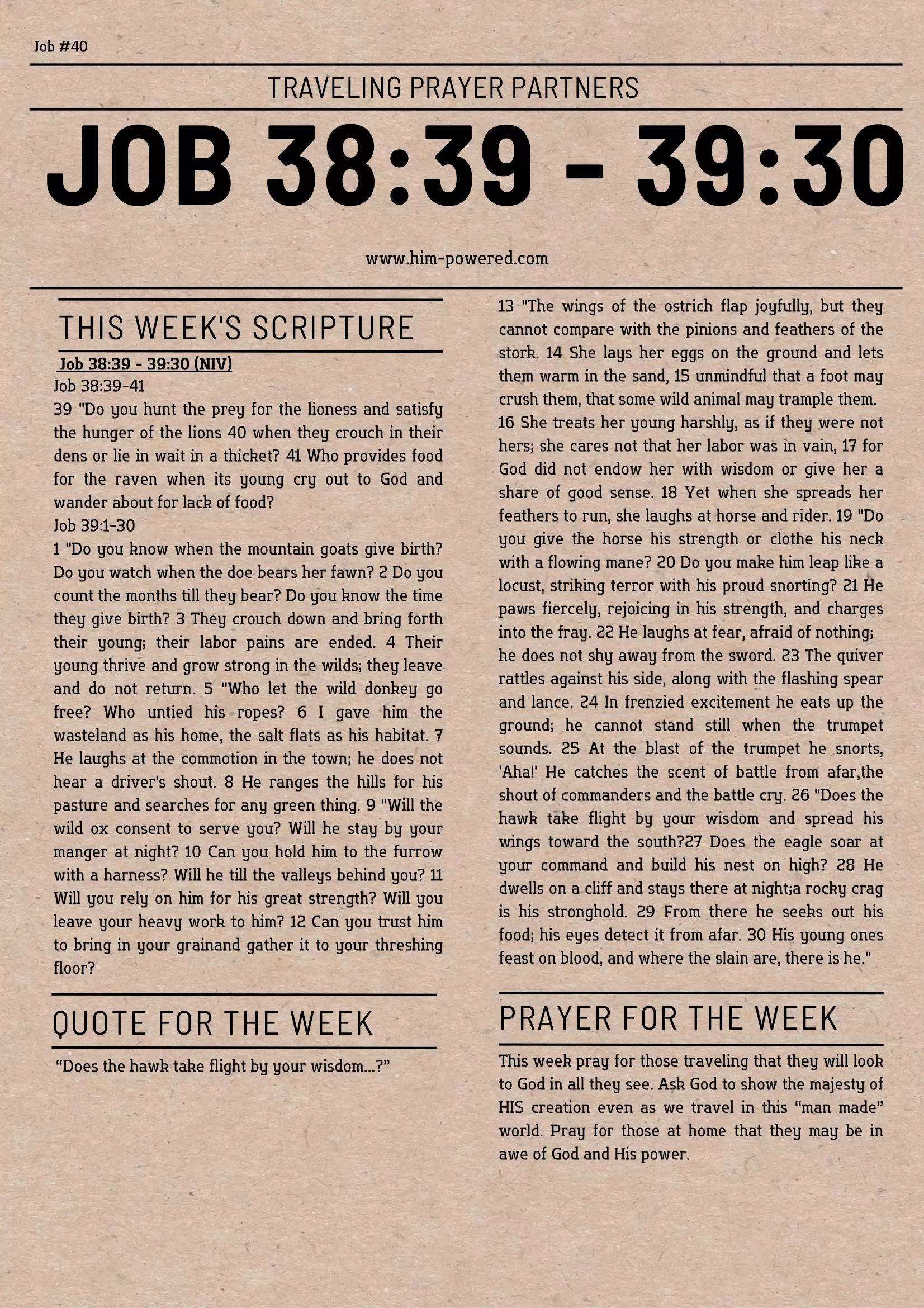 Read more about the article Job 38:39 – 39:30