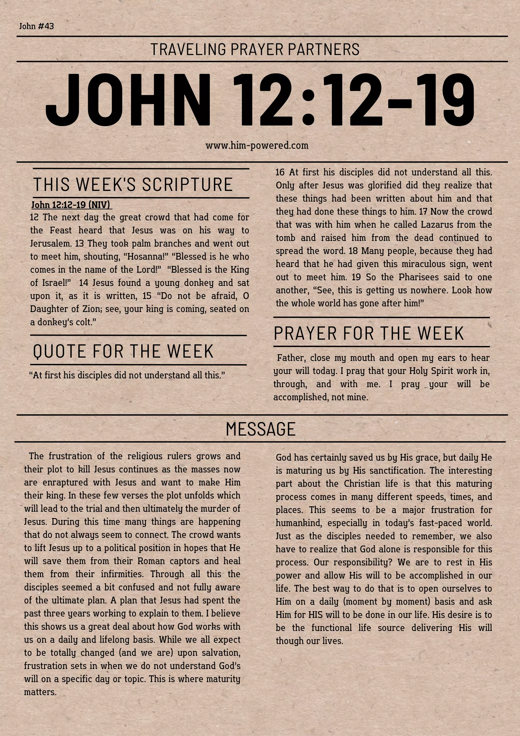 Read more about the article John 12:12-19