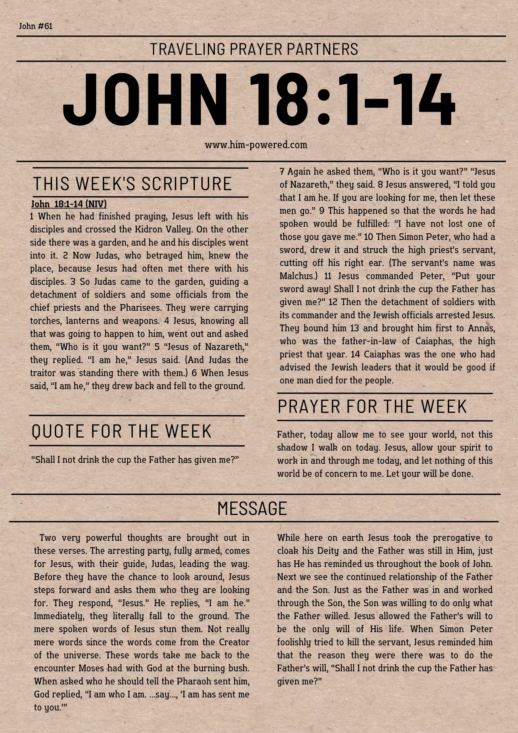 Read more about the article John 18:1-14